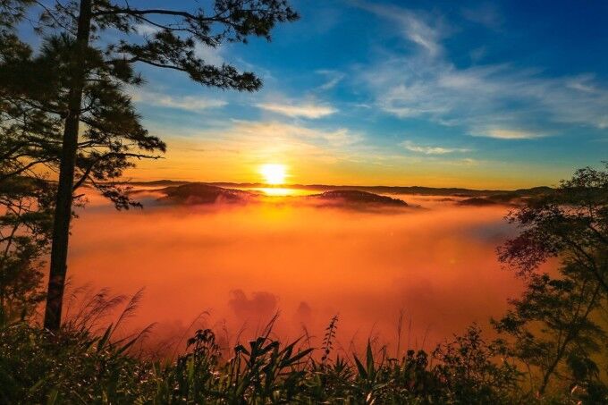 anh-1-4-6339-1677385980.jpg?w=680&h=0&q=100&dpr=1&fit=crop&s=yjT6_nQwPDzHSv7-C7AdXw