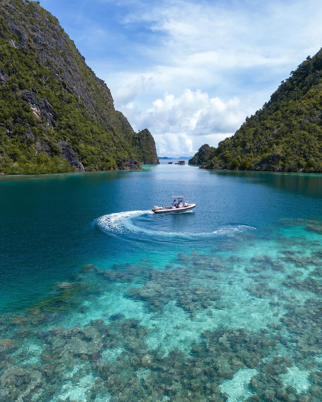 Ảnh:@ mochilamonkeys