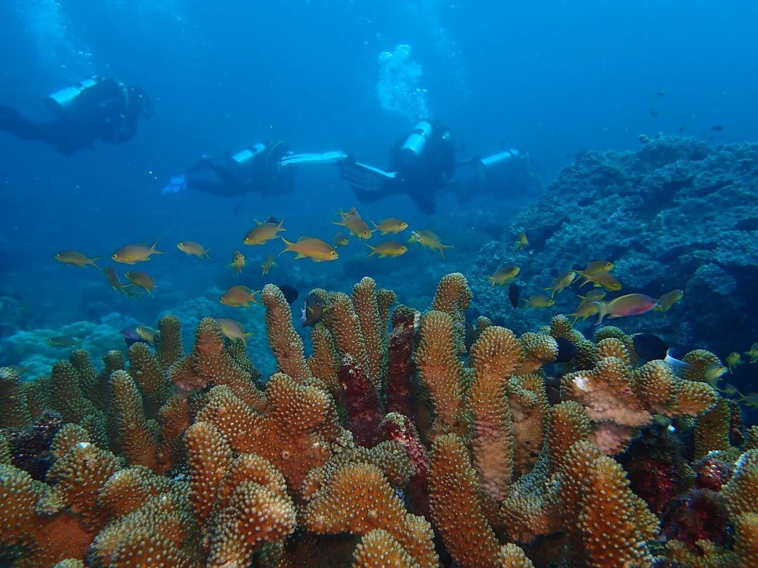 Ảnh: @vero_photos.