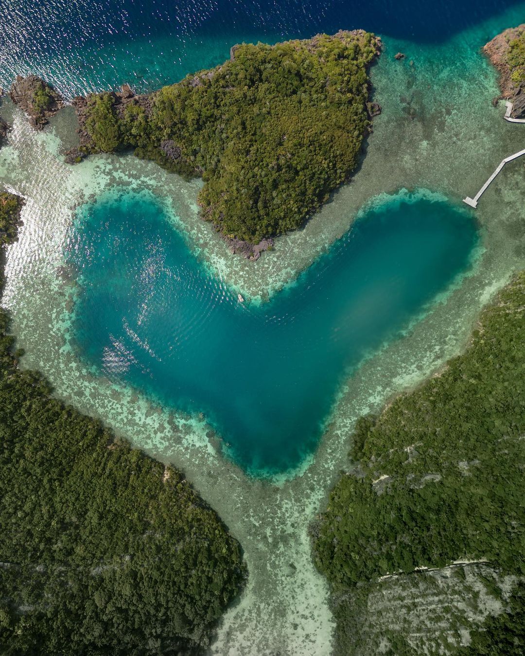 Ảnh:@ mochilamonkeys