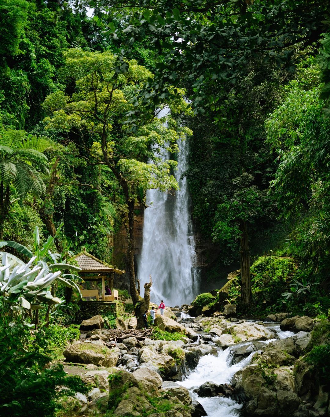 Ảnh:@ ['gitgitwaterfall']