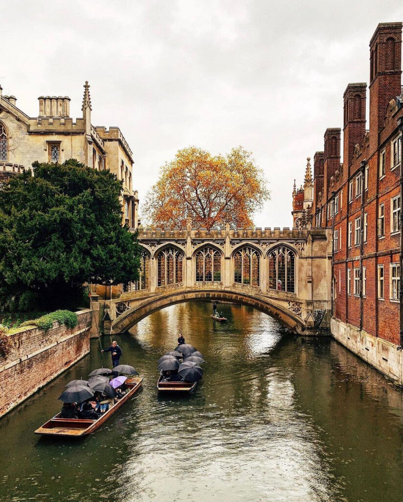 Ảnh: @cambridgelittlegems