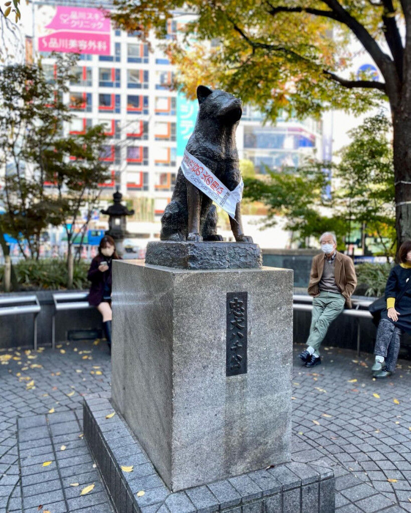 Tượng chú chó Hachiko tại quảng trường ở giao lộ Shibuya. Ảnh: @eerinhacampos.