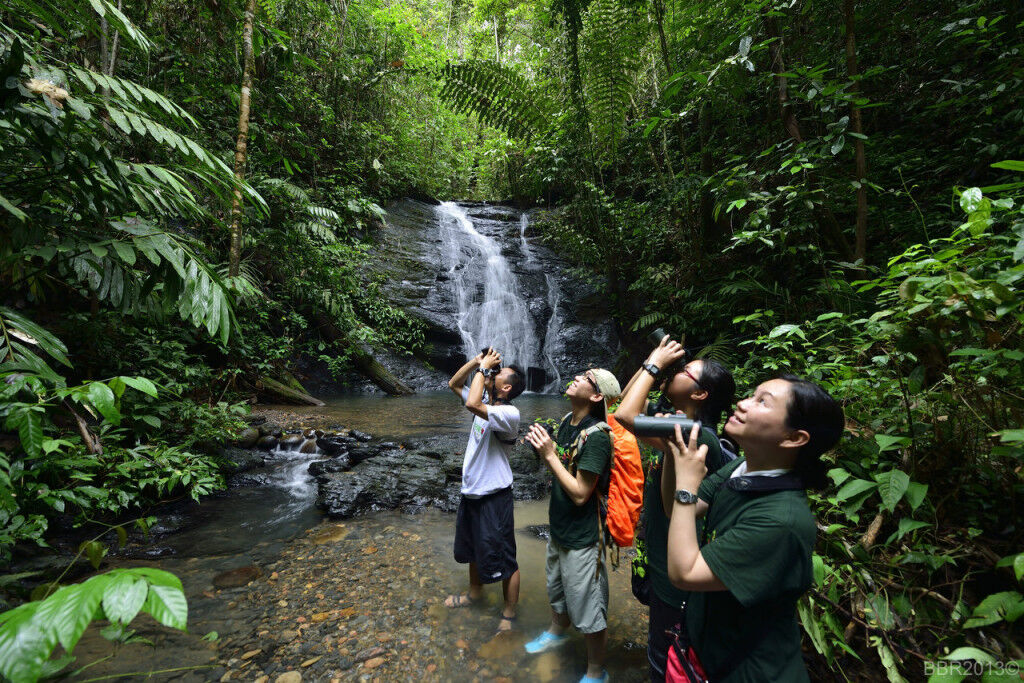 Ulu Temburong ivivu 3