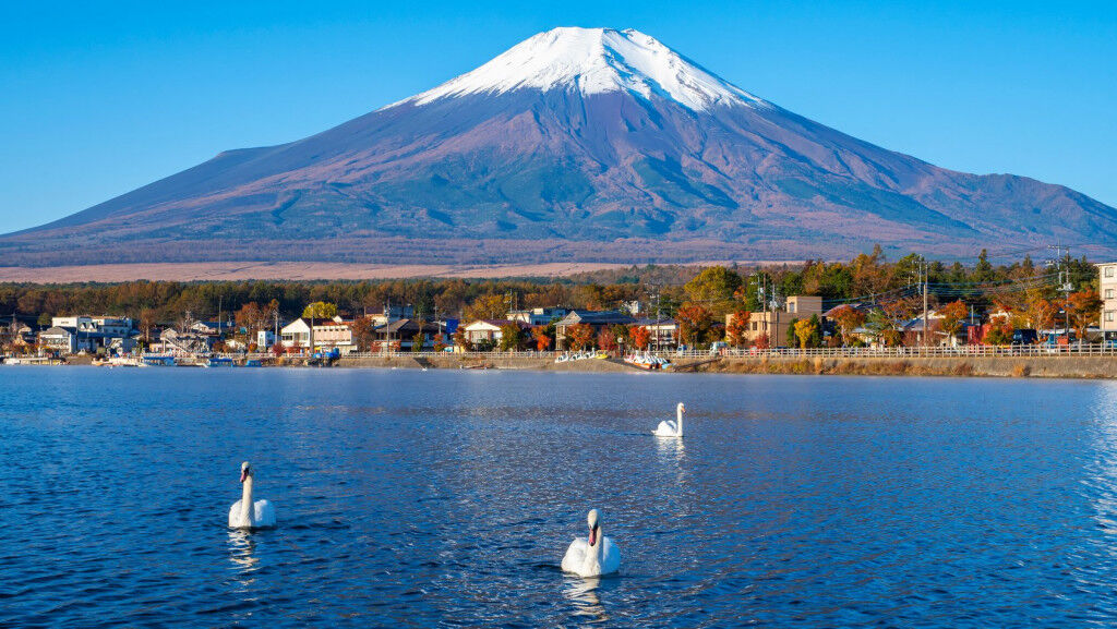 Yamanaka Swan Cruising ivivu 1
