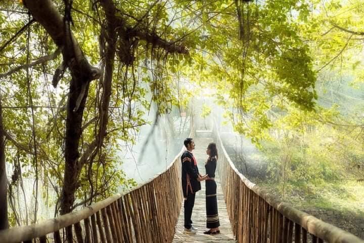 Lễ hội cà phê