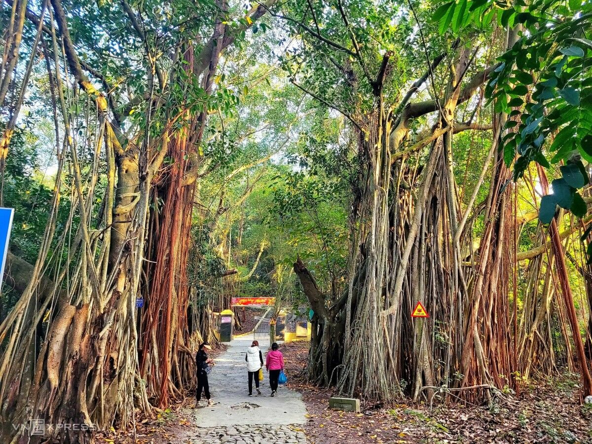 đảo Hòn Dấu