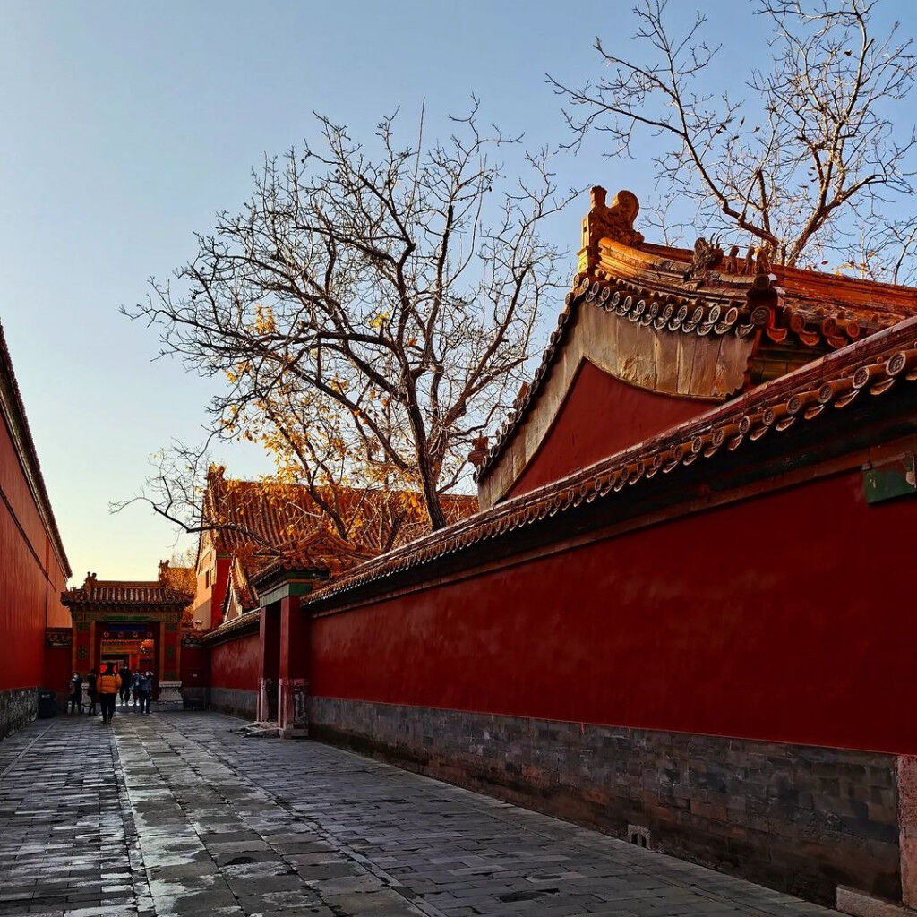 Tử Cấm Thành