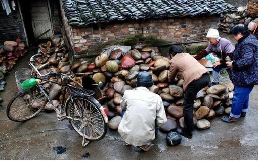 làng Hà Gia Bối