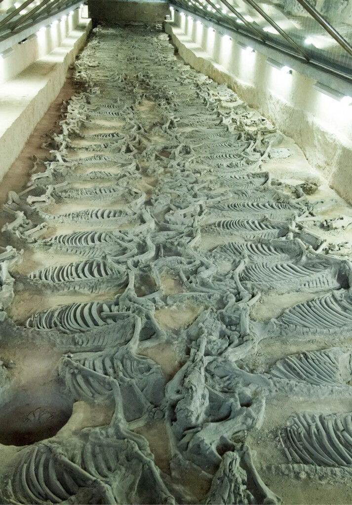 du lịch Trung Quốc
