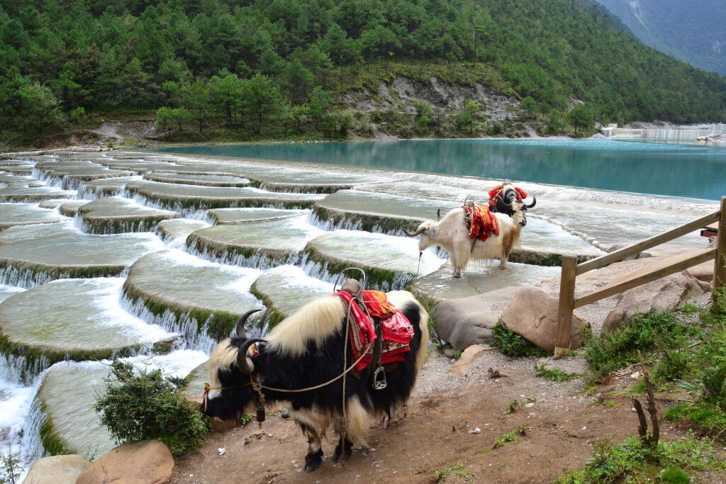Bạch Thủy Hà ivivu 10