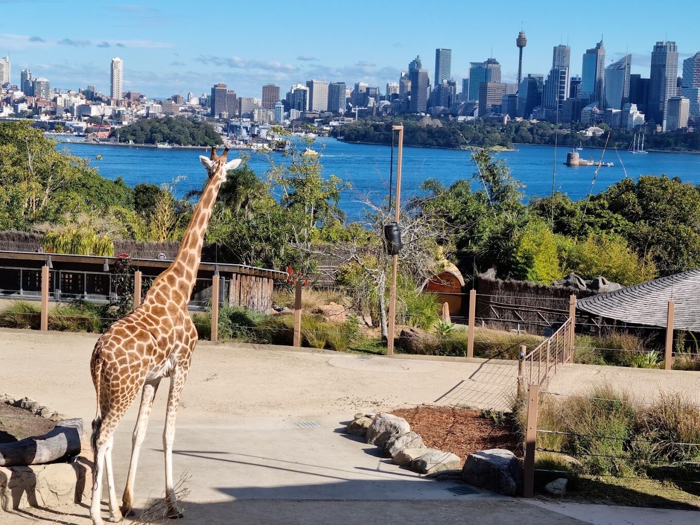tour du lịch Sydney Úc