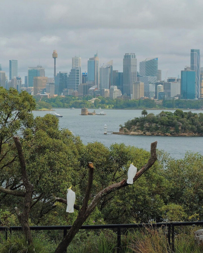 tour du lịch Sydney Úc