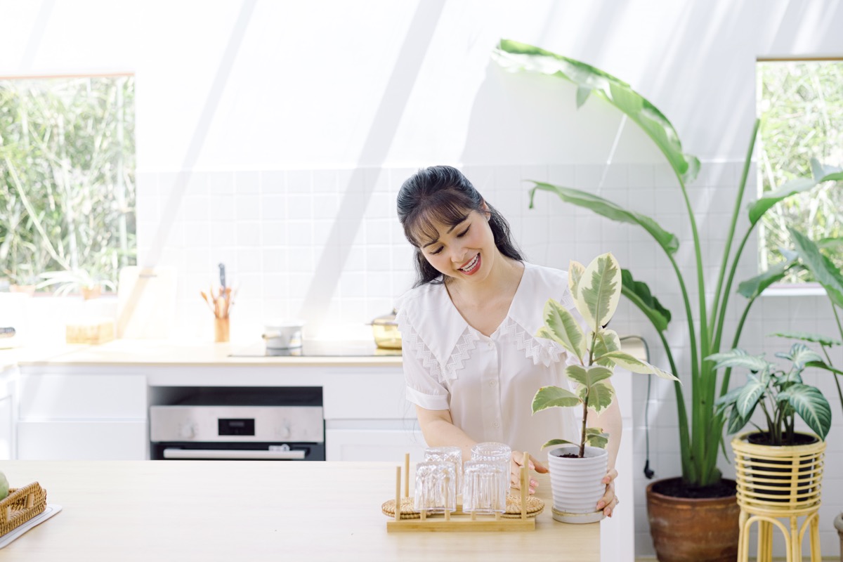 Trang Nhung