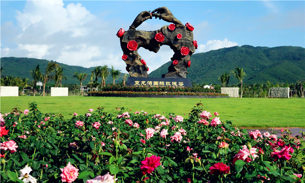 Thung lũng Hoa hồng.