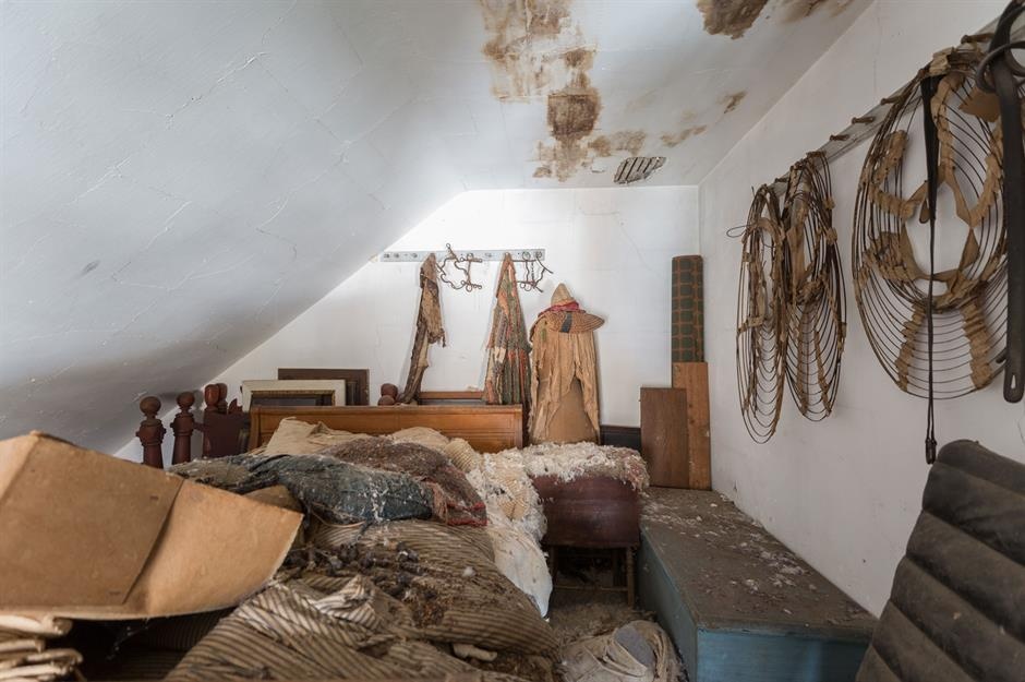 trang-trai-bi-bo-hoang-ivivu-5