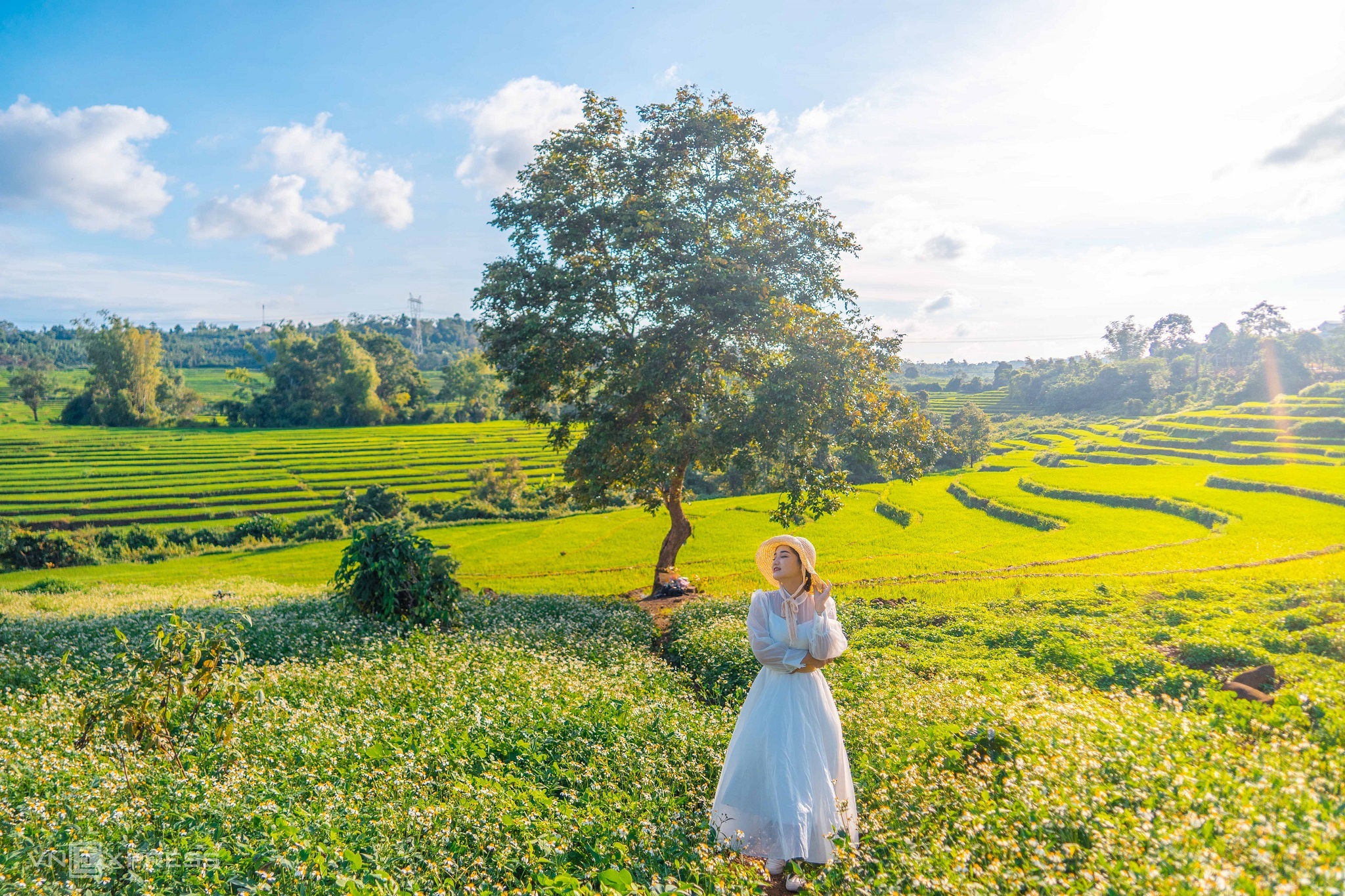 Gia Lai không chỉ có Biển Hồ