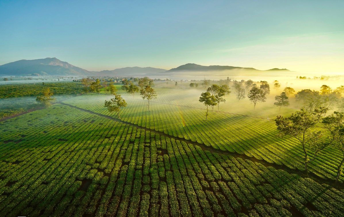 Gia Lai không chỉ có Biển Hồ