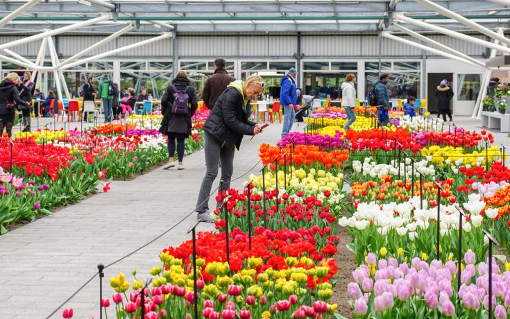 TẶNG VÉ THĂM QUAN VƯỜN HOA KEUKENHOF KHI MUA TOUR TRỌN GÓI