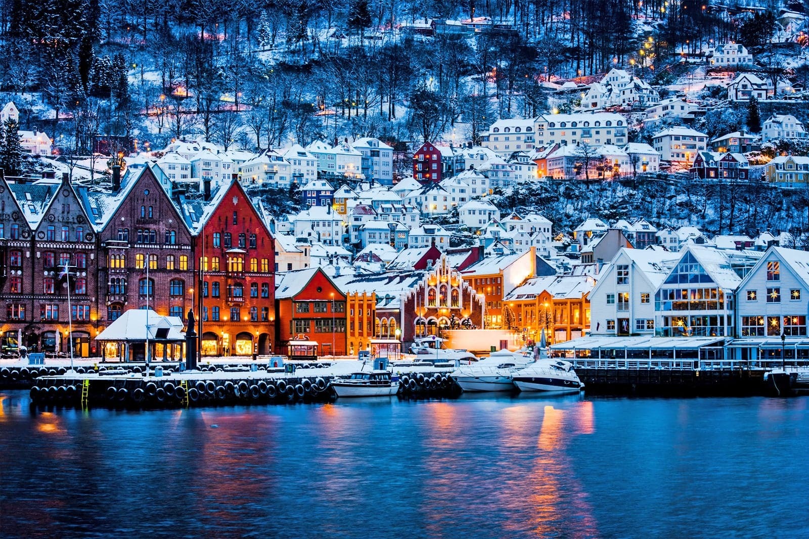 khu-cảng-cổ-Bryggen-ivivu-4
