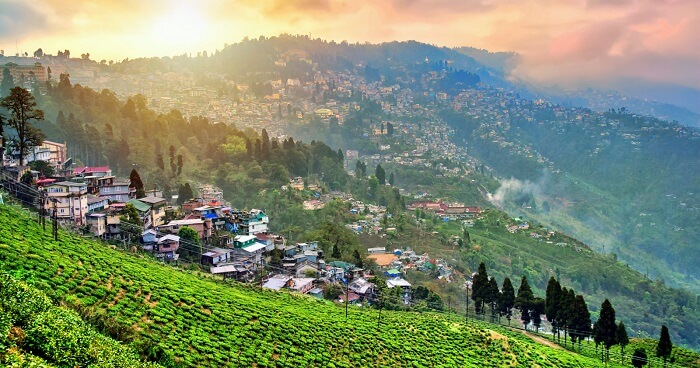Darjeeling-ivivu