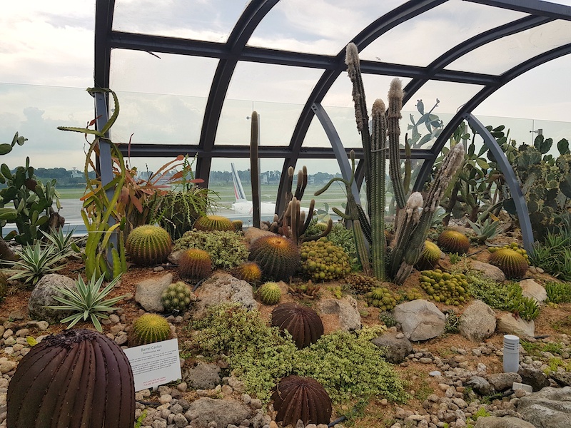 sân bay Changi Singapore