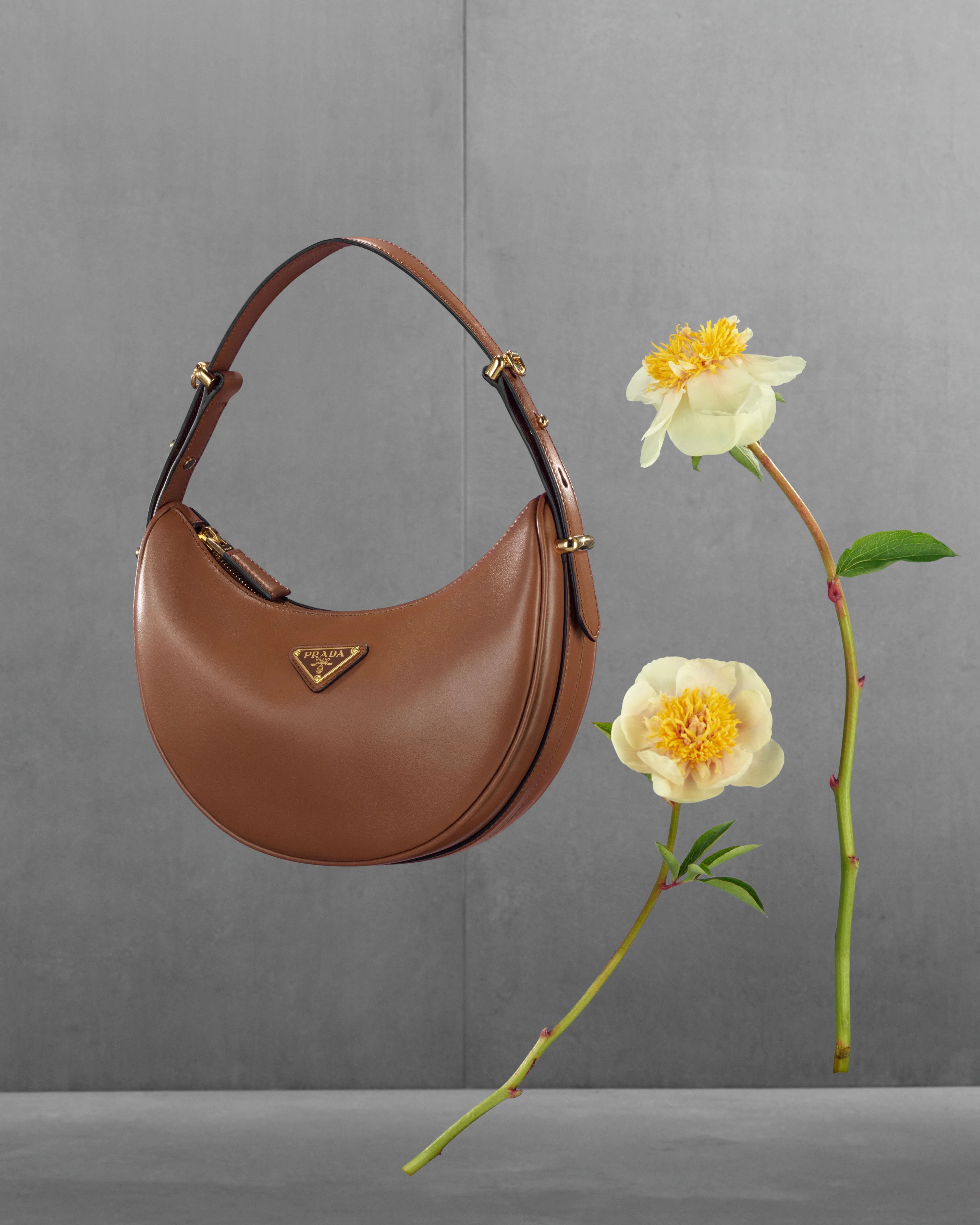 Prada Arqué