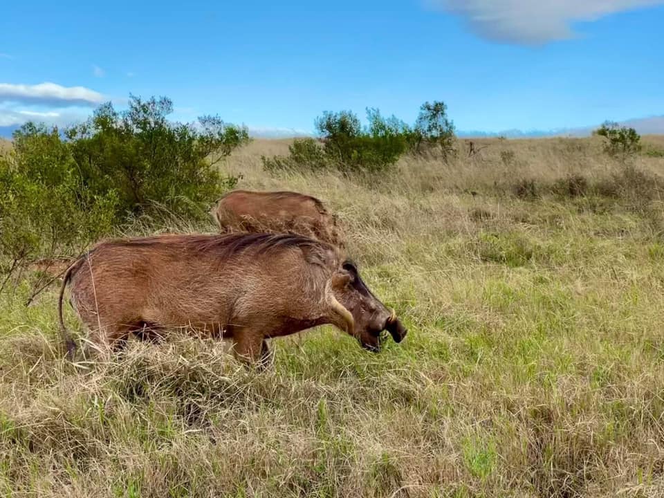 363427536_679588134209766_3099772512727257909_n