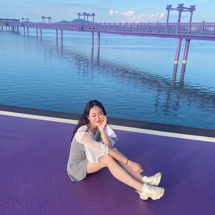 dao-tim-purple-island-han-quoc-4