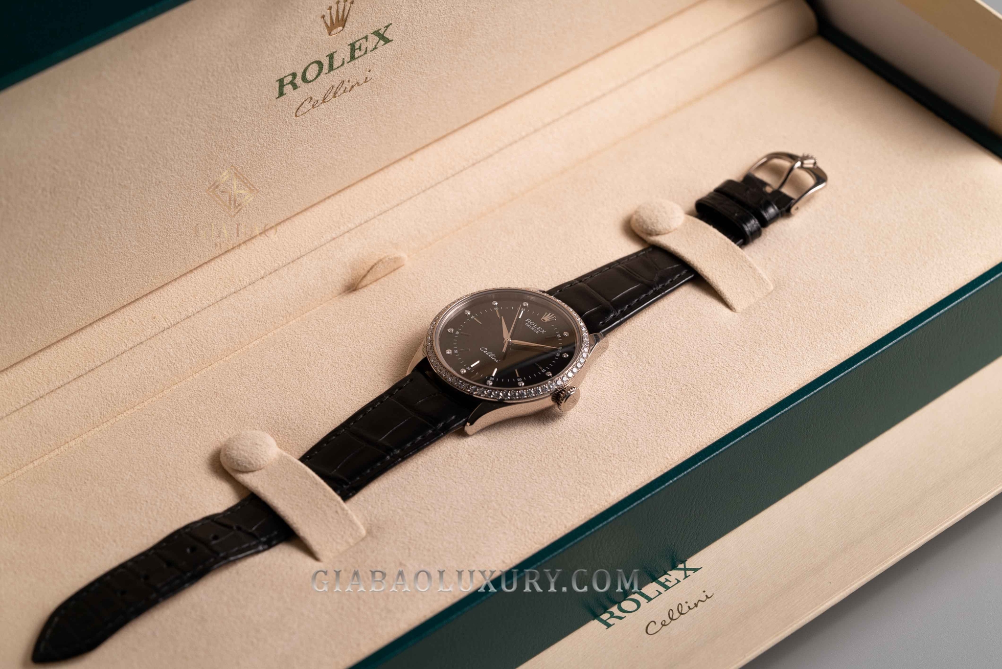 dong-ho-rolex-cellini-time-50709rbr-02189.jpg?v=1638866919312