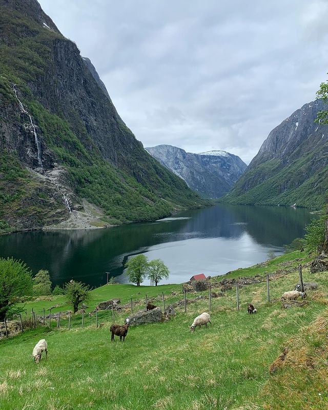 vinh-Nærøyfjord-ivivu-10