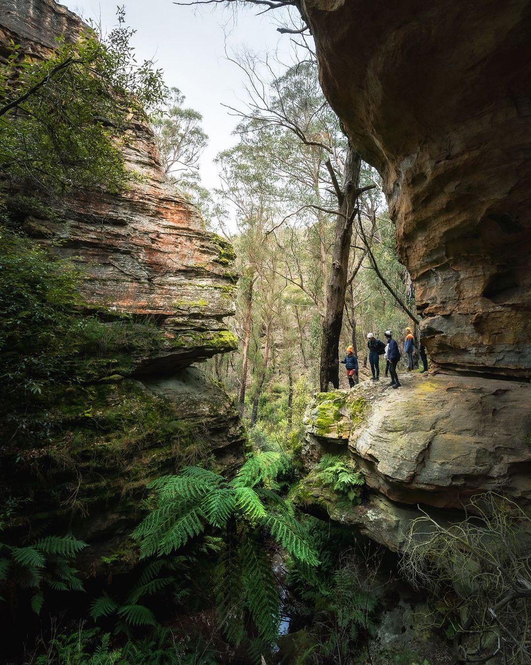 285925759_1917385178456156_2876944474076061534_n