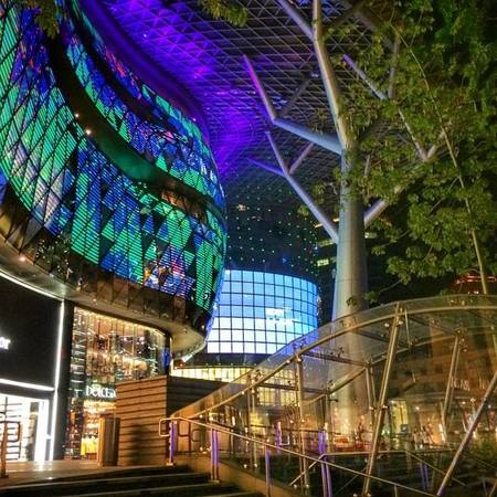 Ảnh: FB ION Orchard