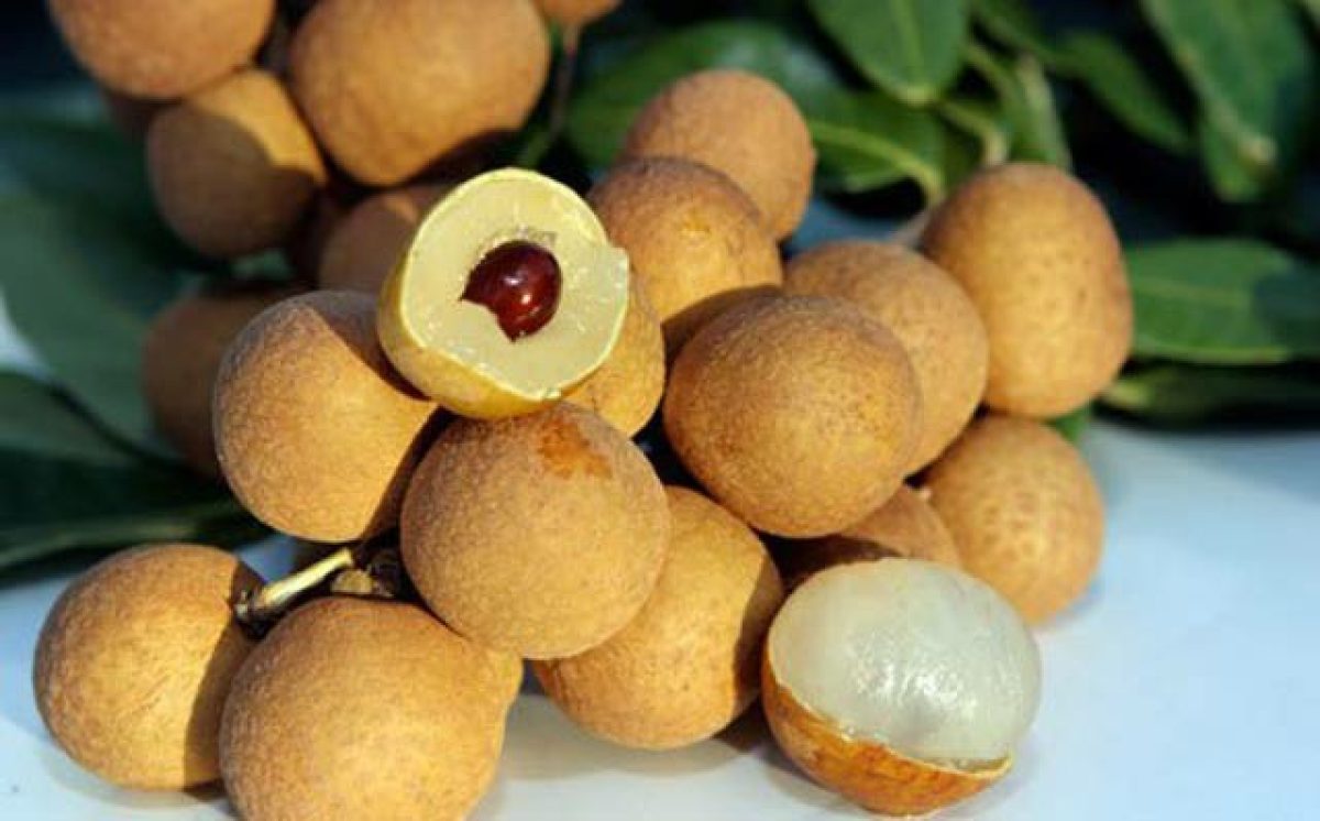  món ăn đặc sản Hưng Yên