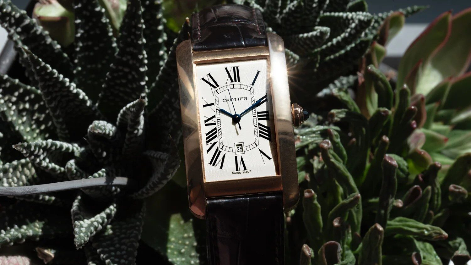 Cartier Tank Americaine: Biểu tượng phong cách sống thanh lịch