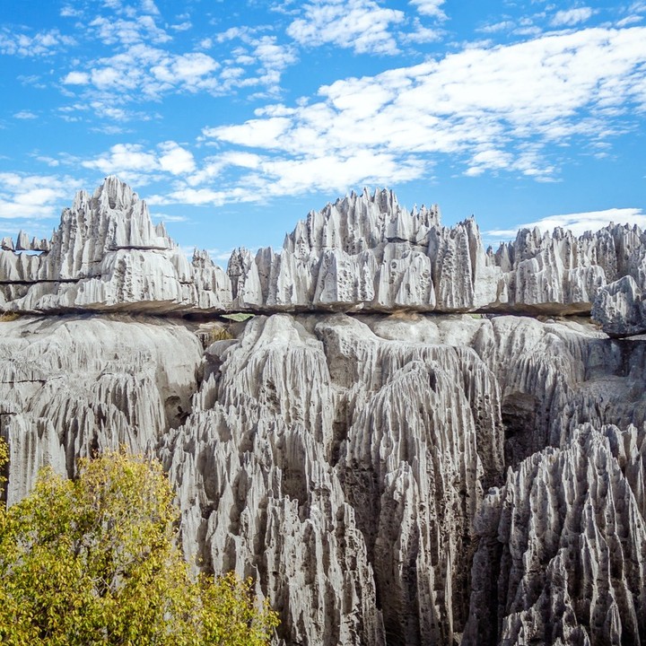 Rừng -đá -Tsingy-ivivu-2