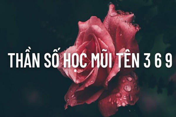 Phân tích ý nghĩa thần số học mũi tên 369 trên biểu đồ ngày sinh
