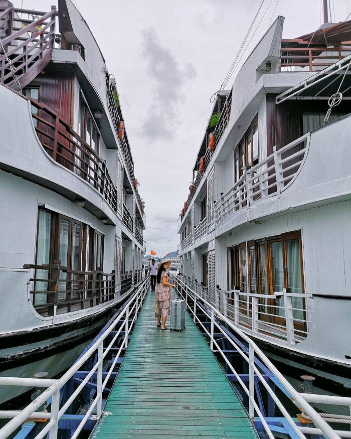 Pelican chính thức đi vào hoạt động từ năm 2012. Ảnh: Instagram @phynixlee
