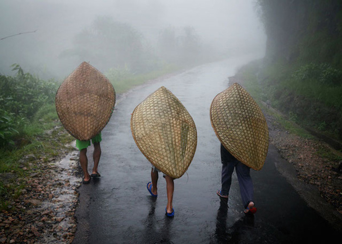Mưa nhiều nhất