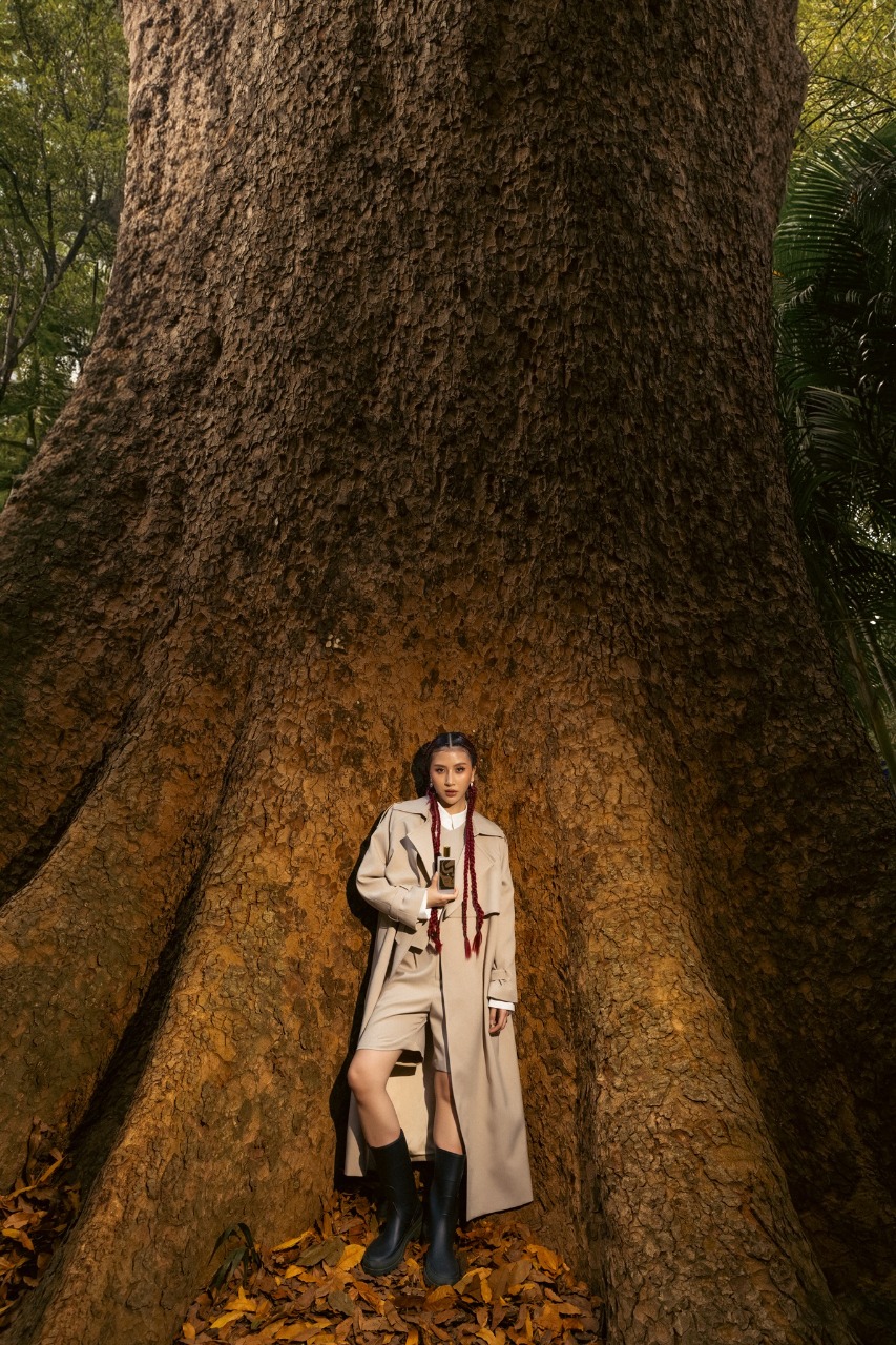 Quỳnh Anh Shyn và Sherwood