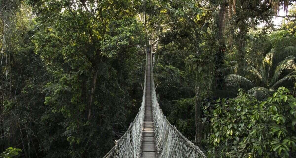 Lạc vào Inkaterra Hacienda Conceptcion - khu nghỉ dưỡng sinh thái cao cấp rừng Amazon