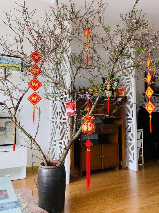 Đón xuân về, dân sành chơi hoa Tết đều biết đến 5 loại đào này