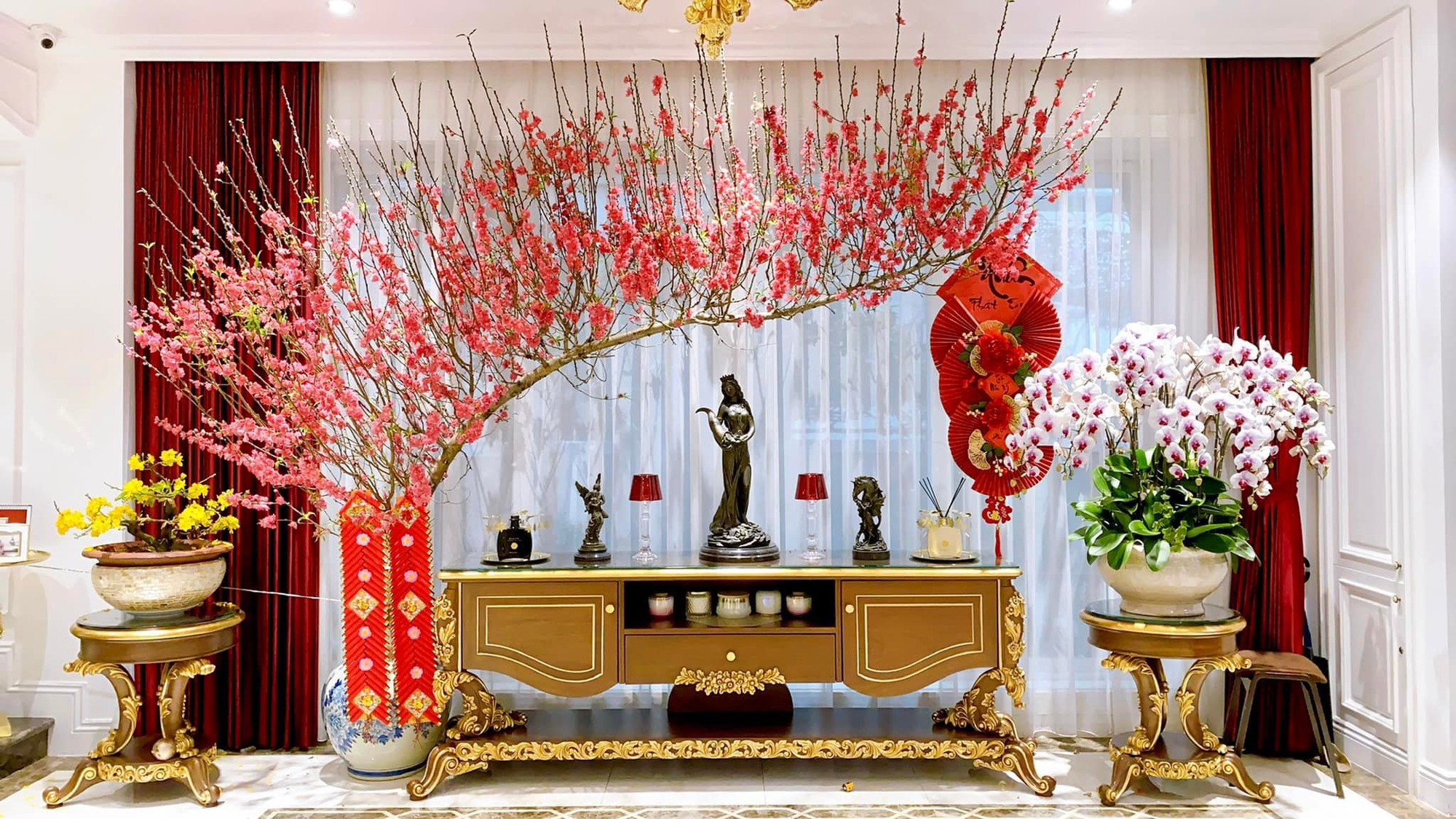 Đón xuân về, dân sành chơi hoa Tết đều biết đến 5 loại đào này