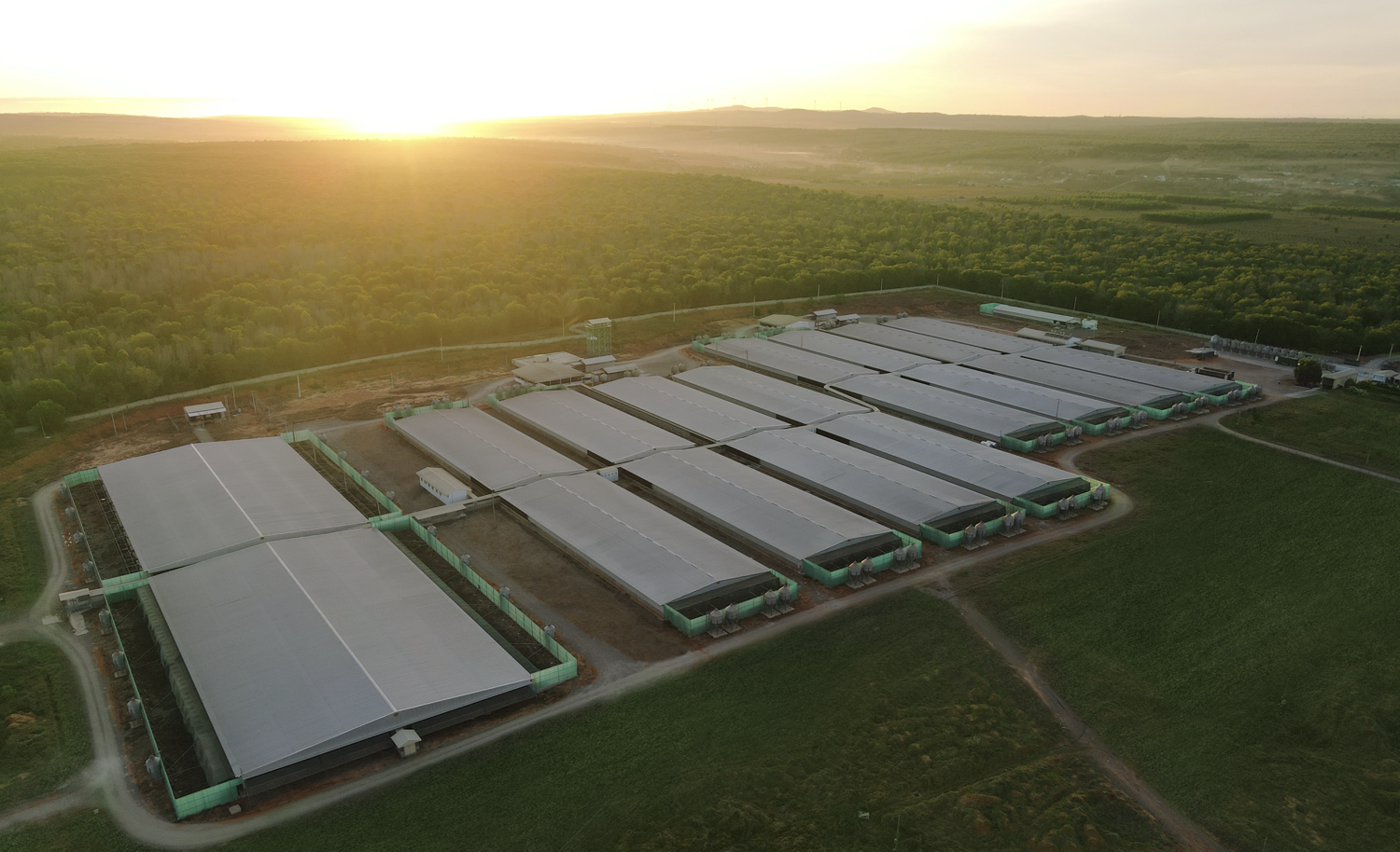 GREENFEED Việt Nam