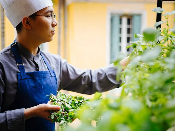 Ẩm thực chay tinh tế, sáng tạo thu hút nhiều người trẻ