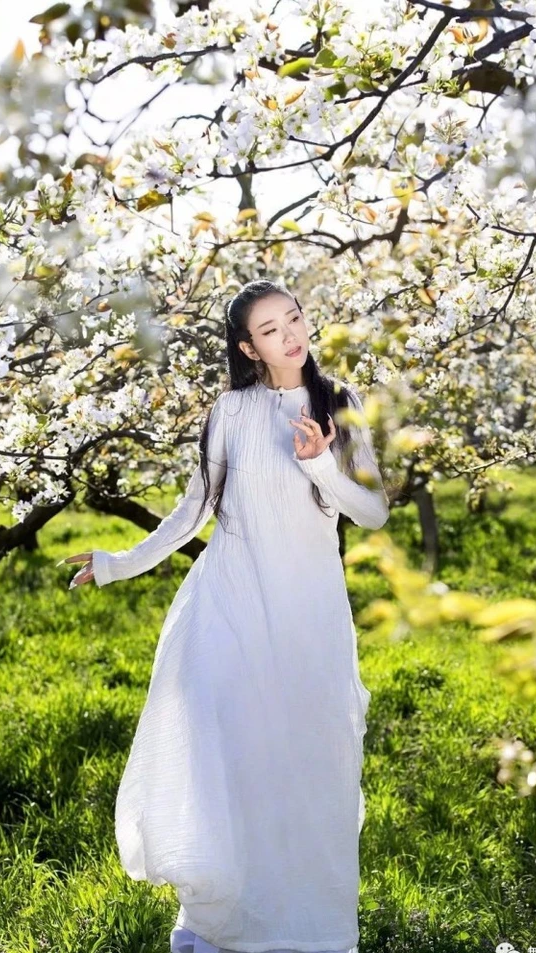 "Khổng tước làng múa" Dương Lệ Bình chi hơn 3 tỷ làm móng mỗi năm