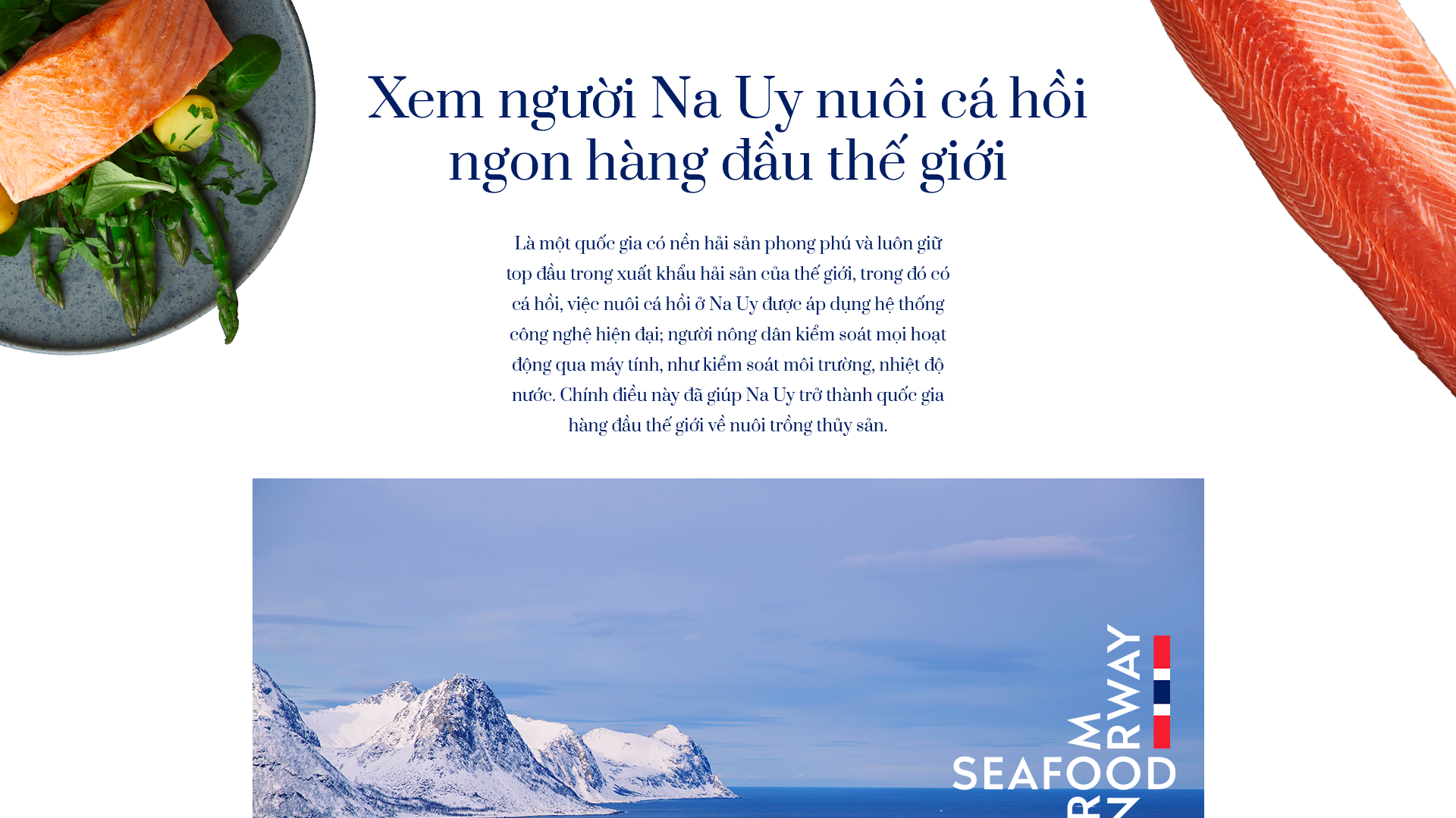 Xem người Na Uy nuôi cá hồi ngon hàng đầu thế giới