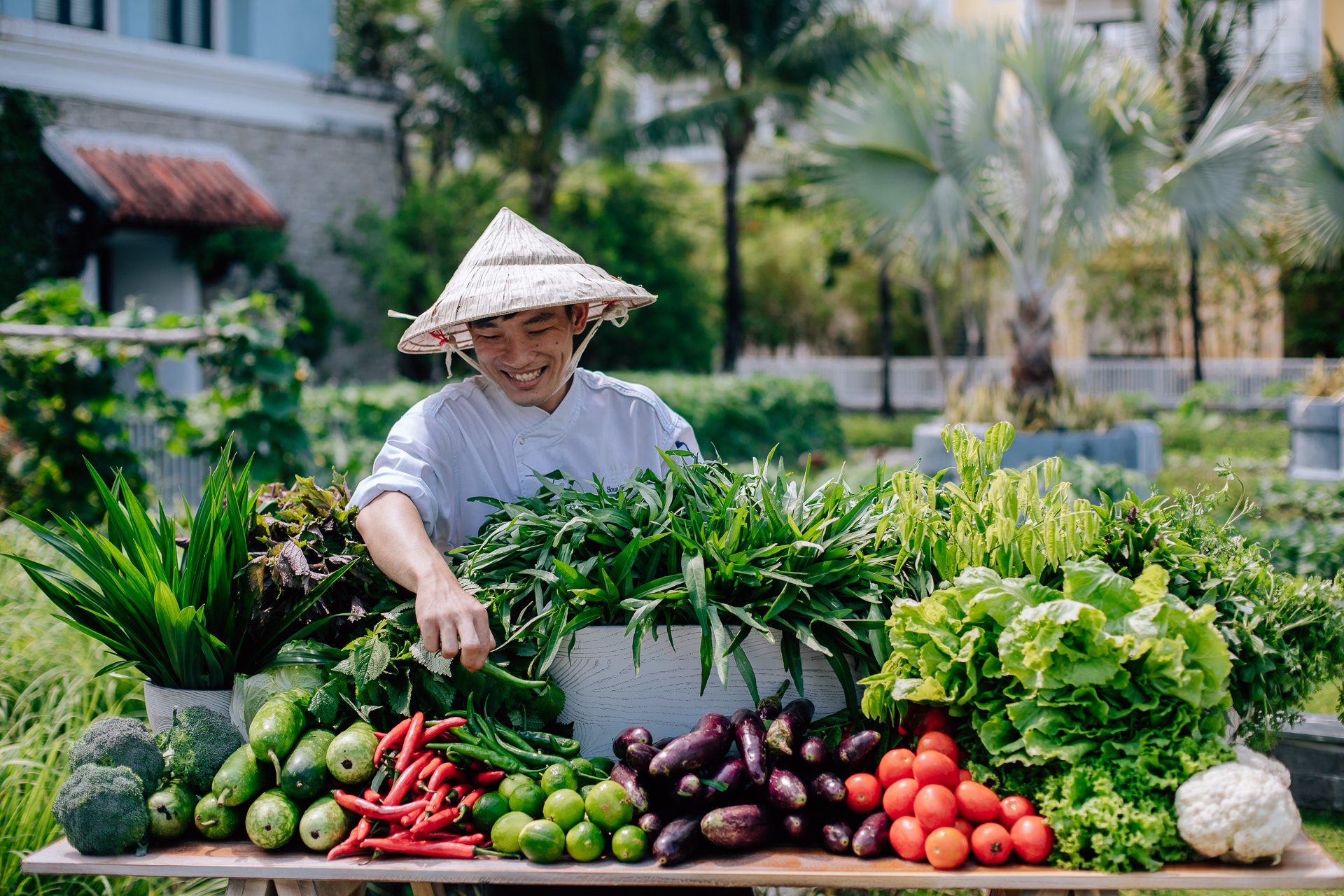 JW Marriott Phu Quoc kết hợp với Đại học Lamarck mở cửa ở Việt Nam