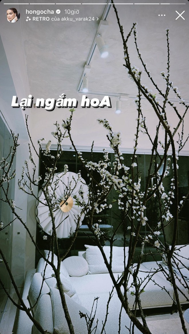 Hồ Ngọc Hà trang trí tết