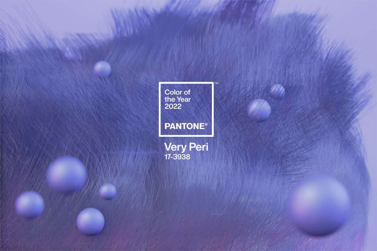 Ảnh hưởng từ màu sắc Pantone đến thiết kế nội thất